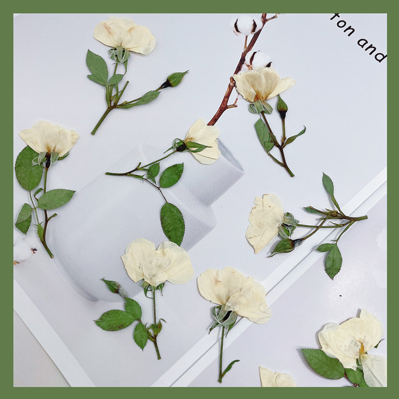 12個入り、ナチュラルホワイトピンクレッドローズの枝、本物の - Wedding Card Box のレビューと価格